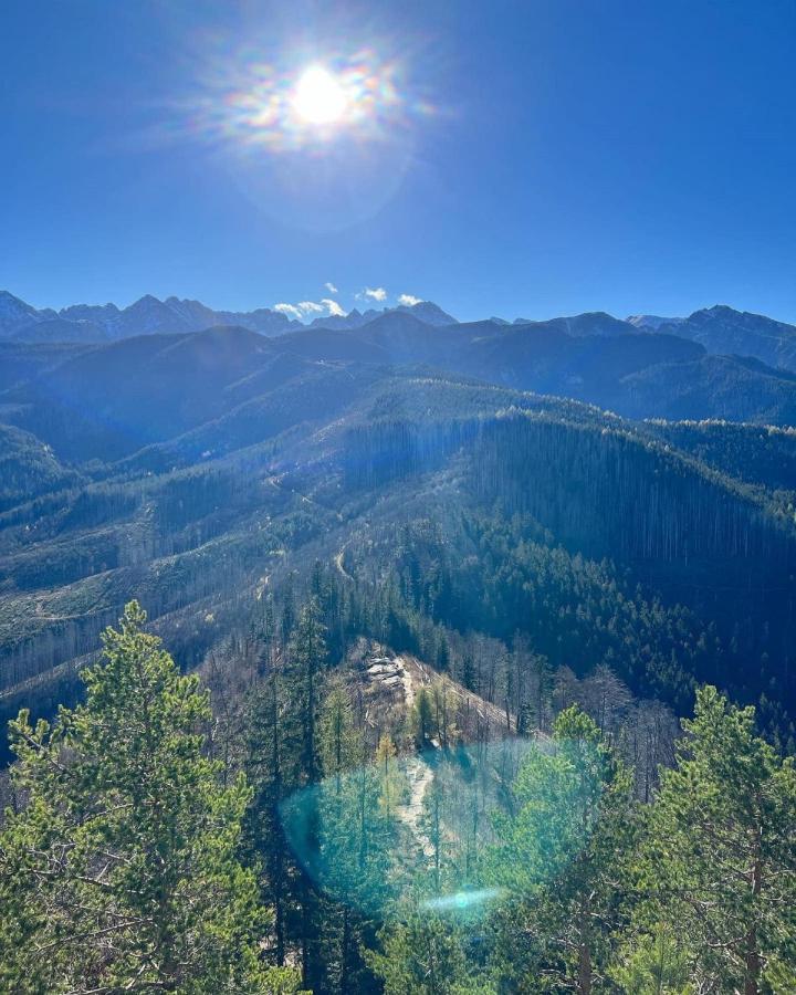 Willa Strazyska Zakopane Buitenkant foto