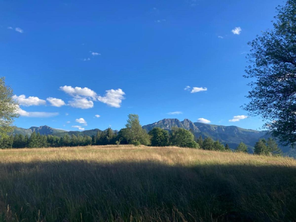 Willa Strazyska Zakopane Buitenkant foto